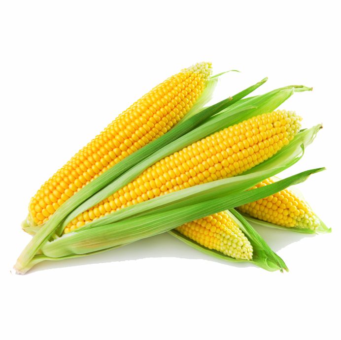 Sweet Corn