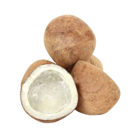 Dry Coconut / Copra / Gola Coconut