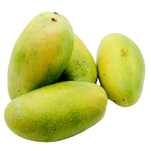 Dasheri Mango (Malihabad)