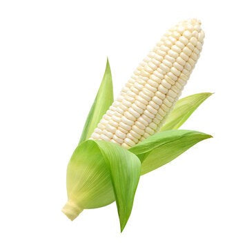 Desi White Corn