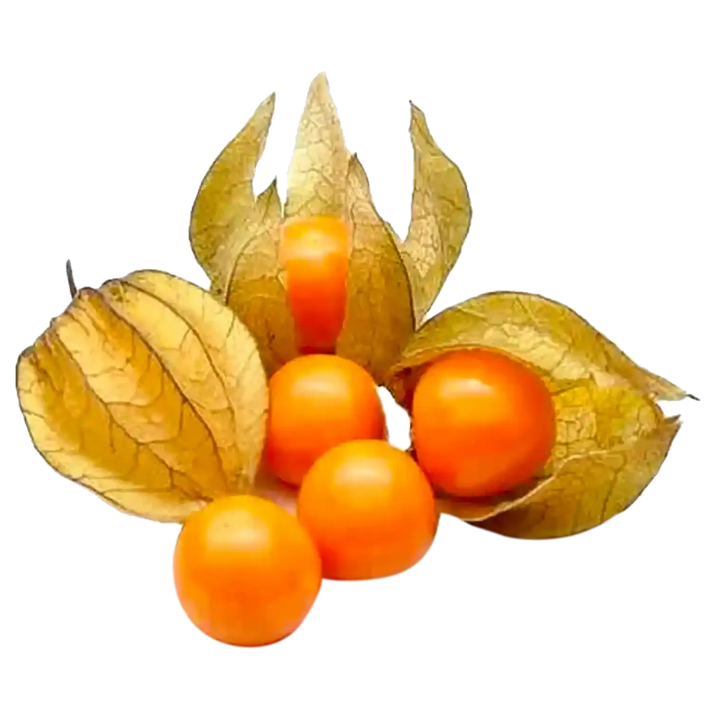 Golden Berry / Cape Gooseberry (200 g)