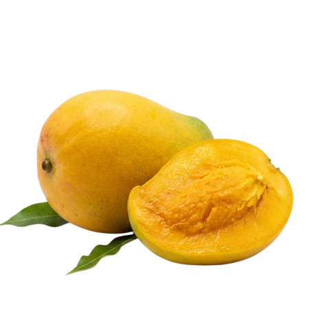 Kesar Mango (Gujarat)