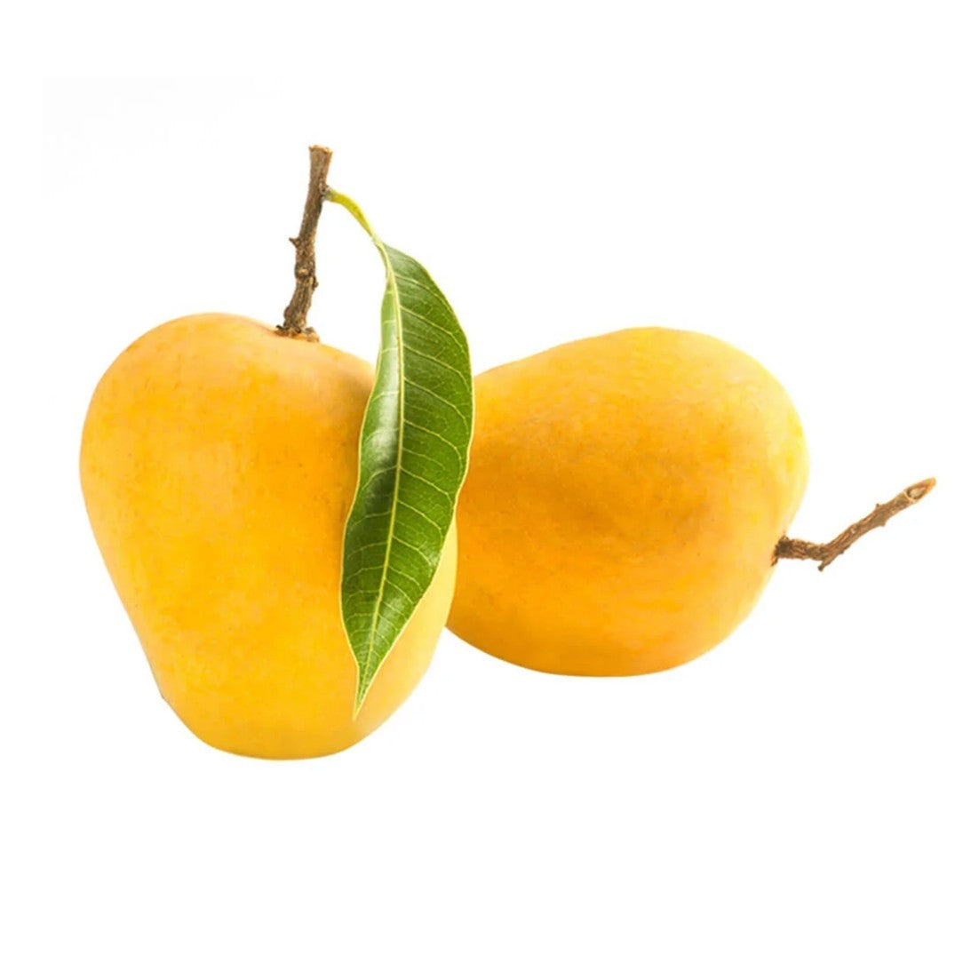 Gujarat Alphonso Mango (200 - 225 g)