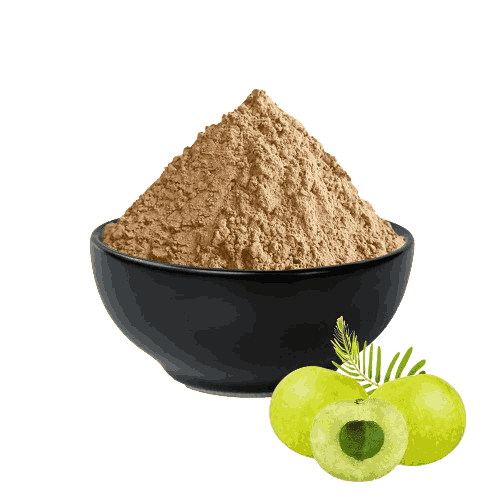 Amla Powder