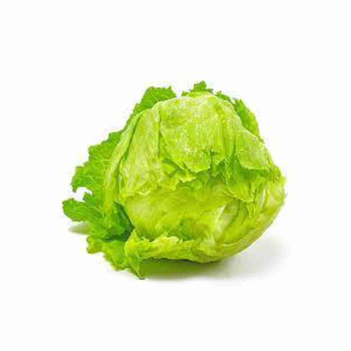 Icerberg Lettuce (Medium)