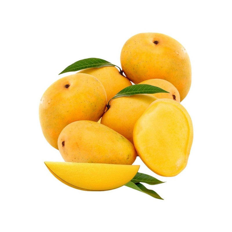 Kesar Mango (Gujarat)