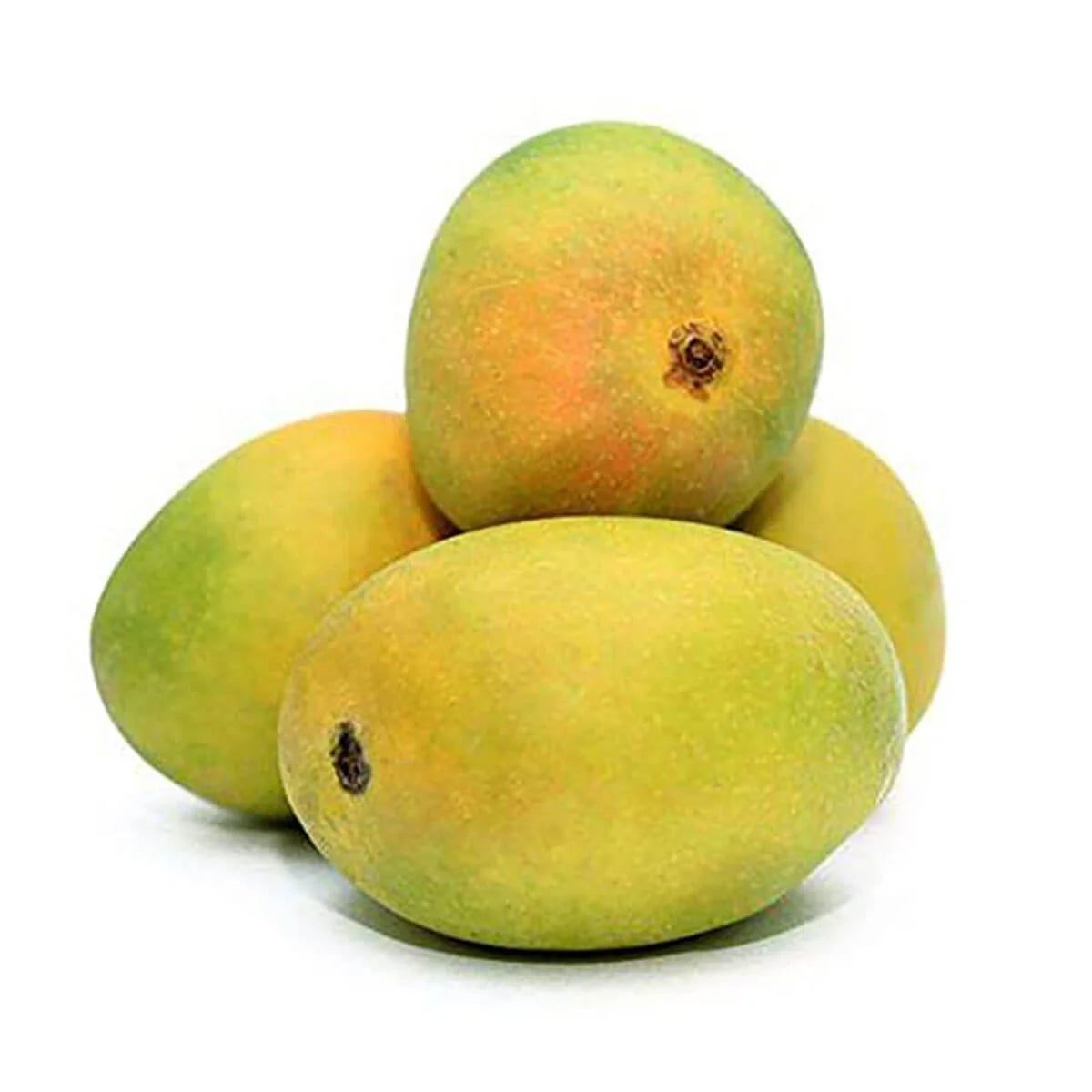 Payri Mango (Konkan)